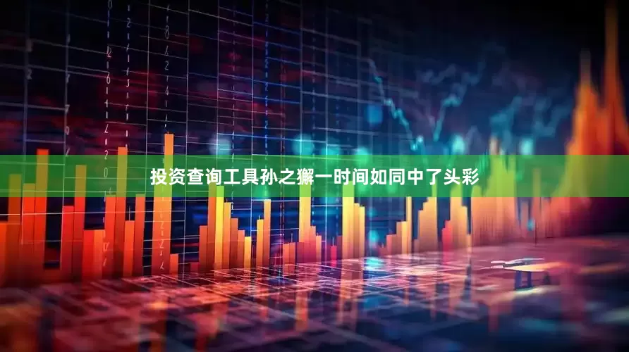 投资查询工具孙之獬一时间如同中了头彩