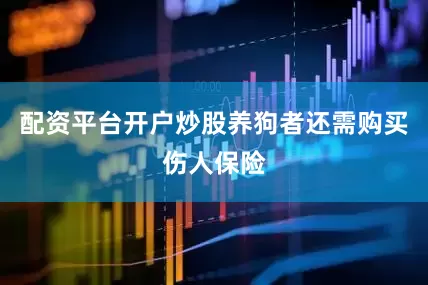 配资平台开户炒股养狗者还需购买伤人保险