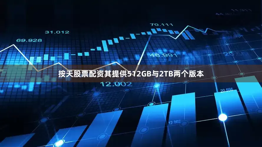 按天股票配资其提供512GB与2TB两个版本